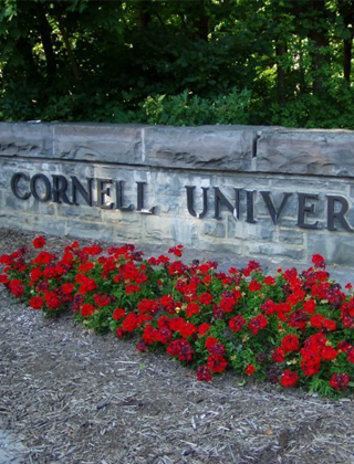 Cornell wall with tulips